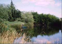Our lake from the south - click to enlarge