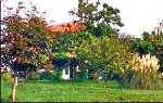 house from the main lawn