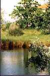 farmhouse from the lake