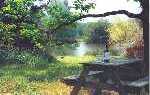 Welcome view of lake from farm house